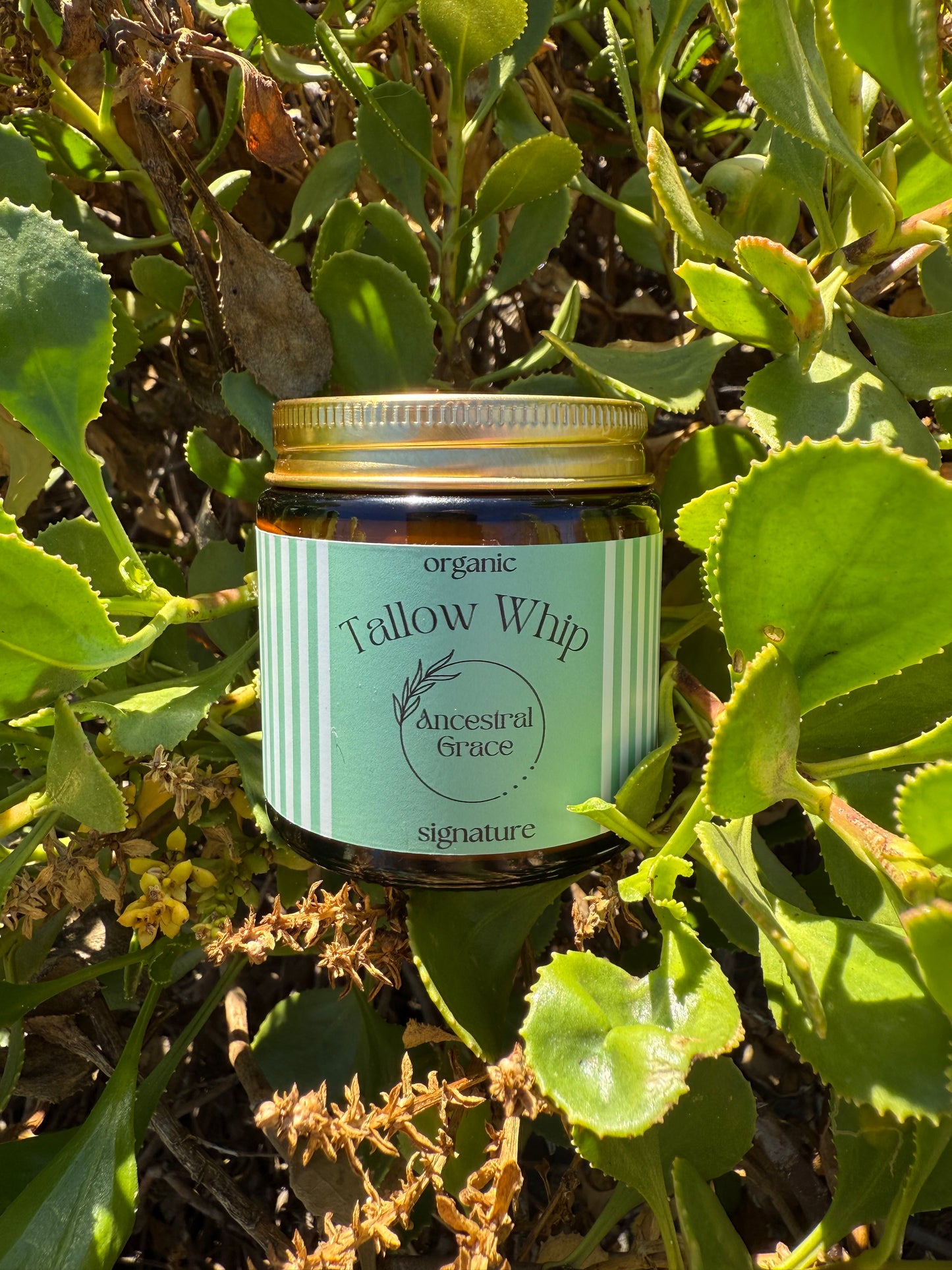 Signature Tallow Whip