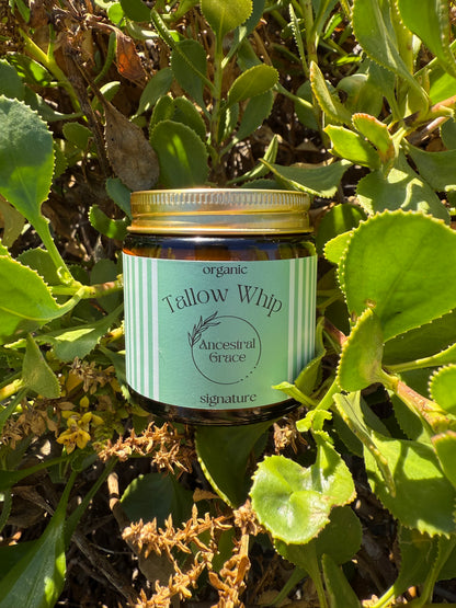 Signature Tallow Whip