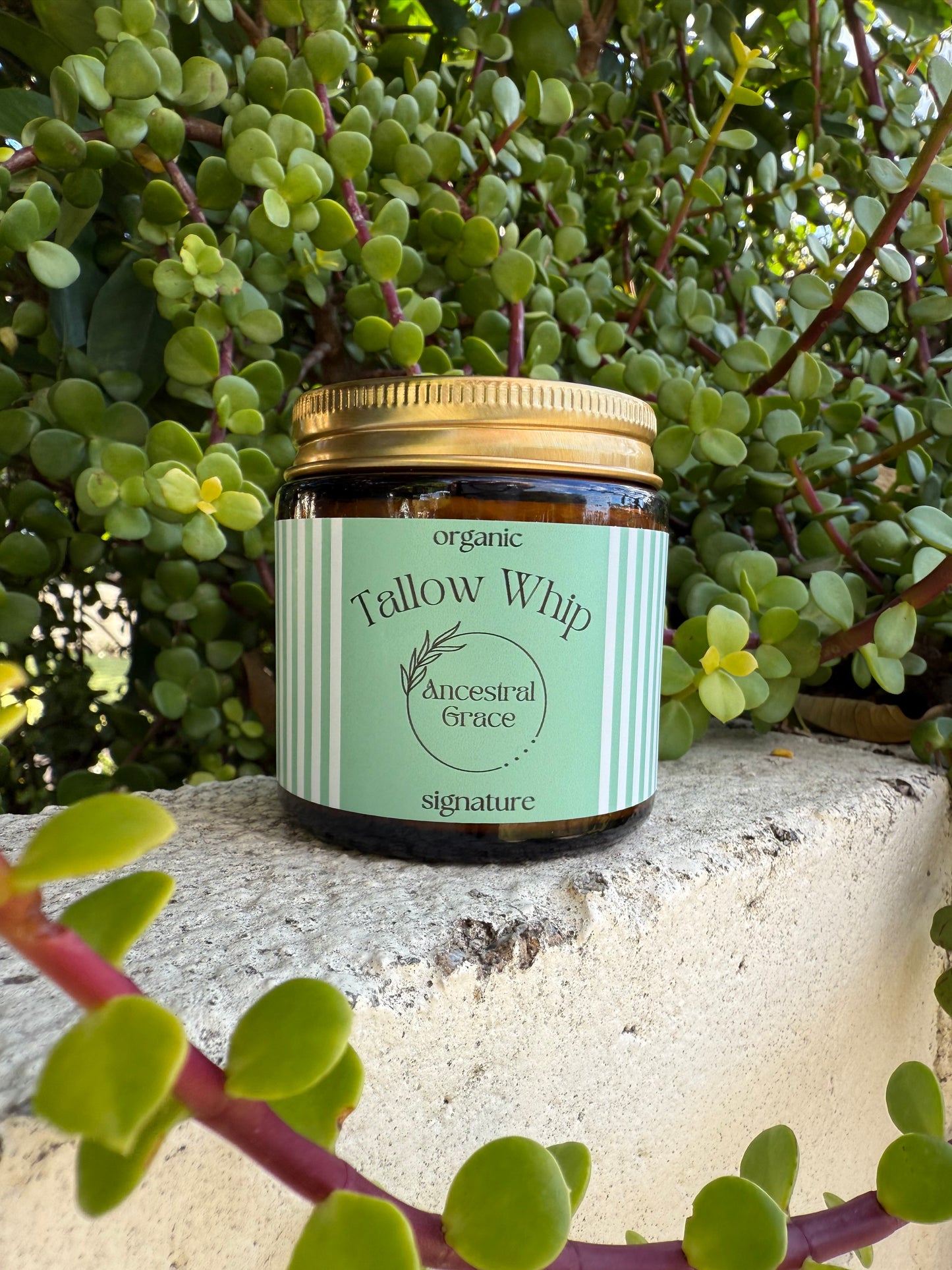 Signature Tallow Whip